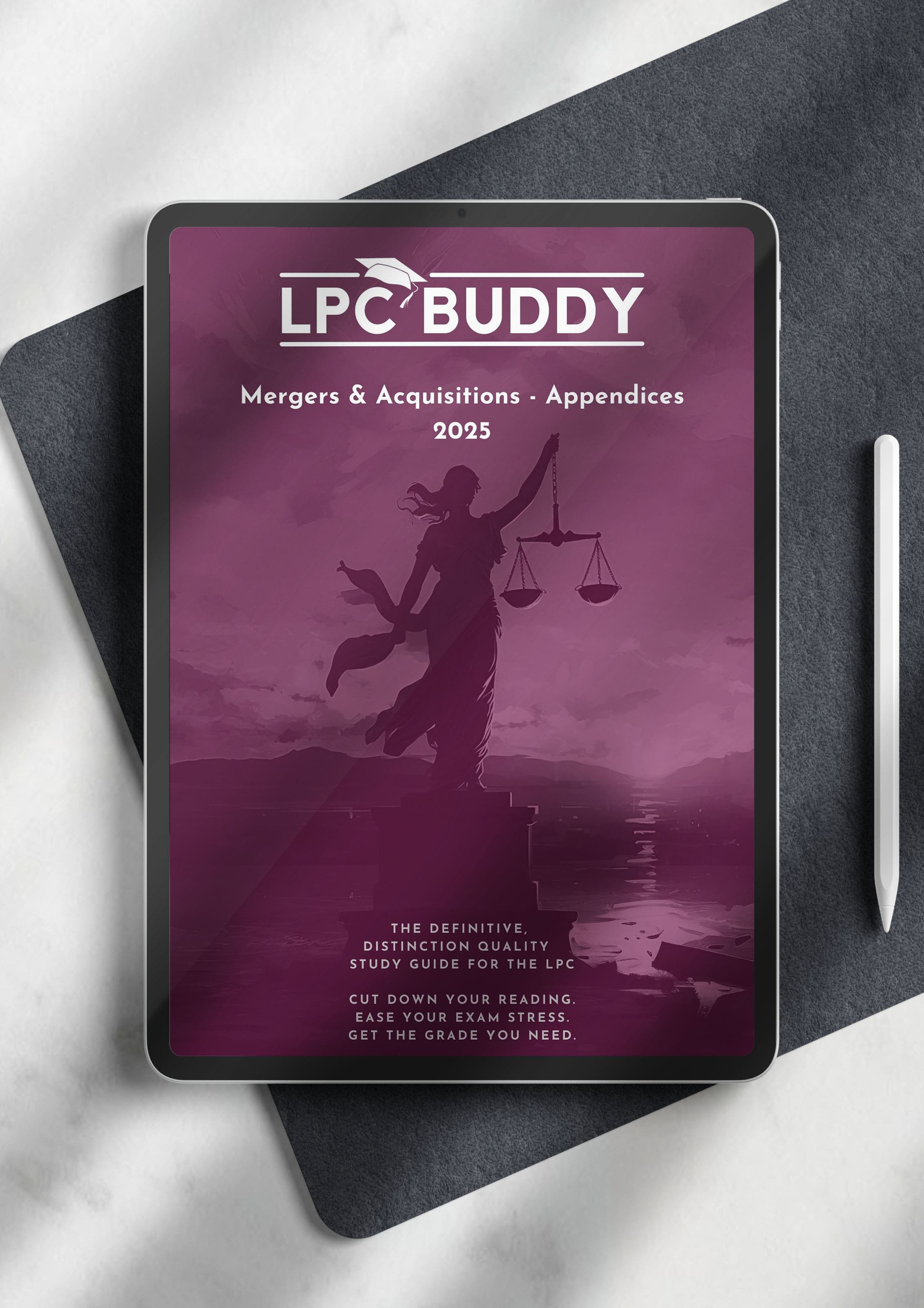 LPC Buddy™ 2025 | Mergers & Acquisitions | Distinction Level Study Guide for the LPC (Electronic)