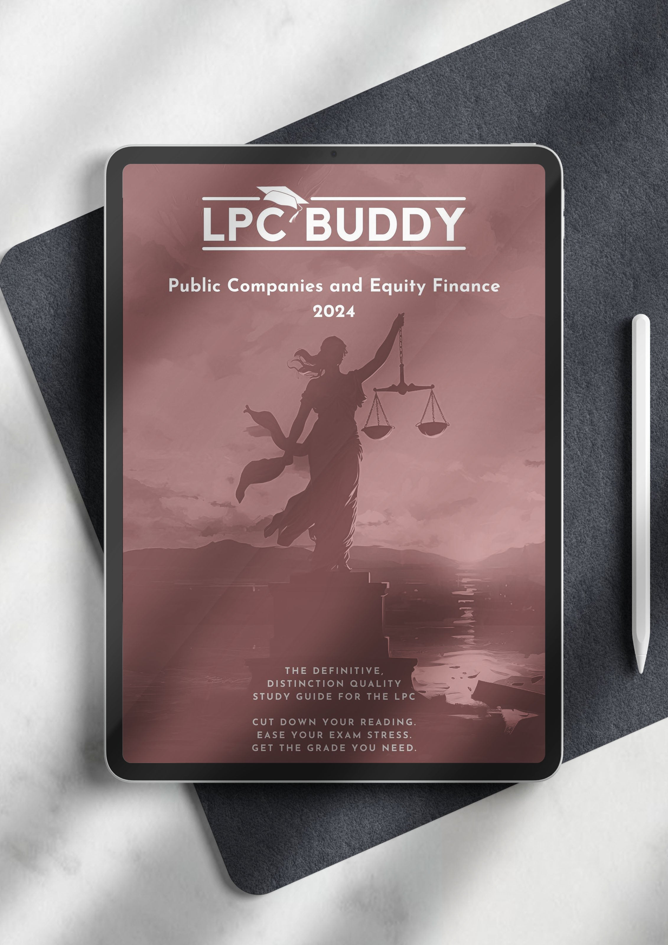 LPC Buddy™ 2024 | Public Companies and Equity Finance | Distinction Level Study Guide for the LPC (Electronic)